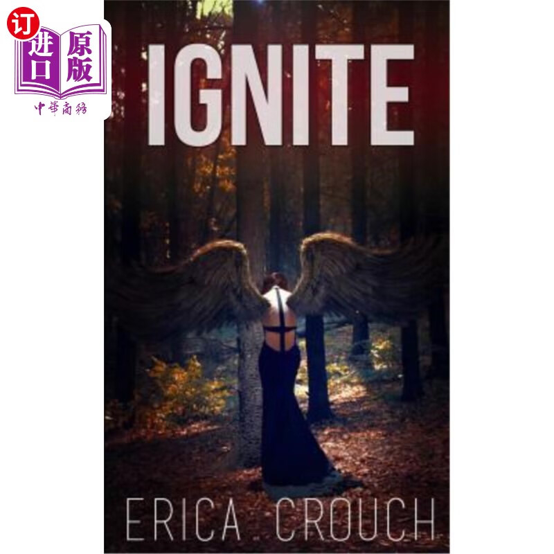 海外直订ignite 点燃