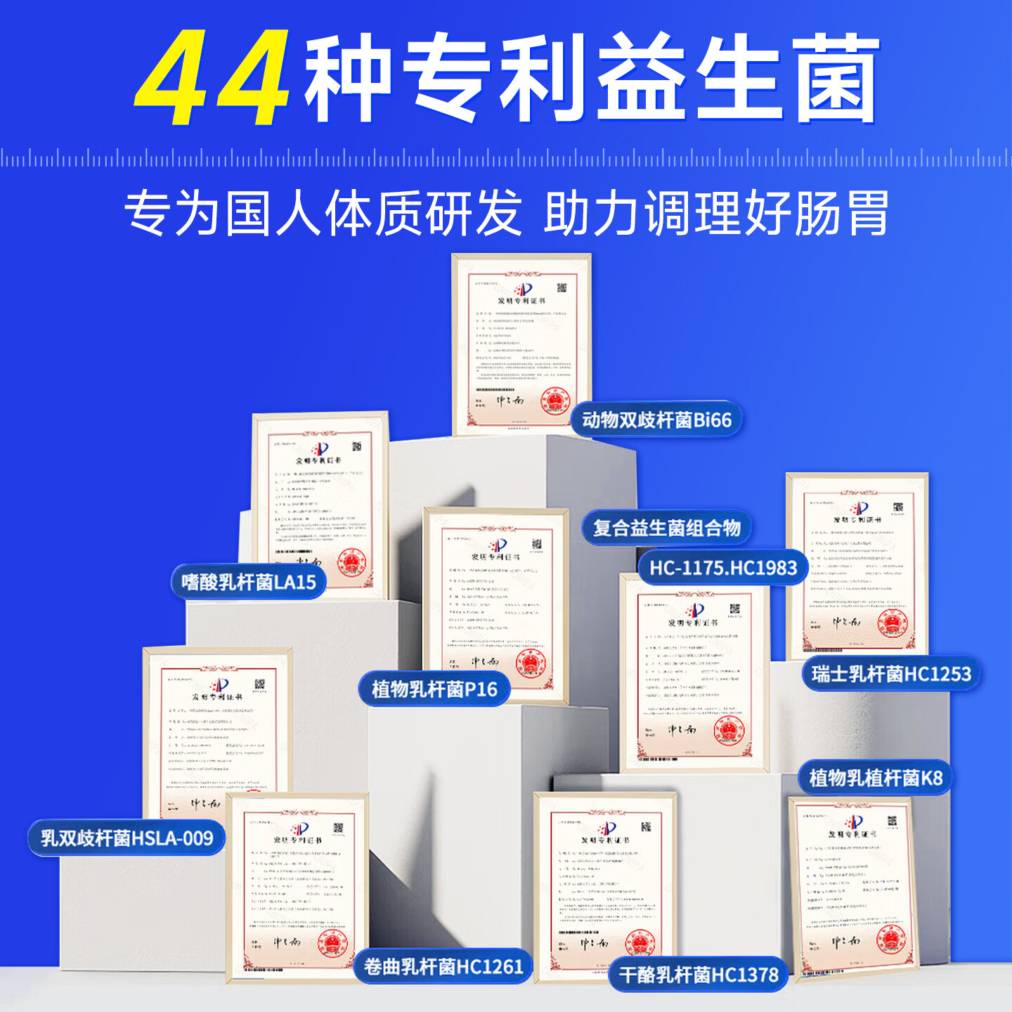 南京同仁堂益生菌调理肠胃脾胃虚弱增强免疫力益生菌成人调理肠胃肠道便秘 36条*1盒 【活菌助免疫】