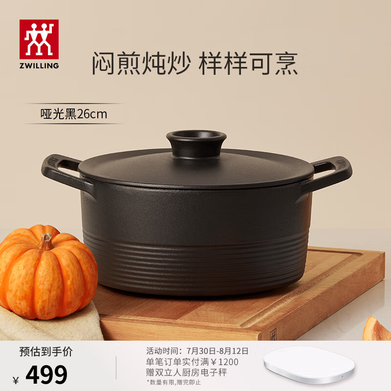 双立人（ZWILLING）珐琅锅汤锅炖锅Dragon龙铸铁锅煲汤锅炖肉锅锅具 哑光黑（适合4-6人家庭） 26cm