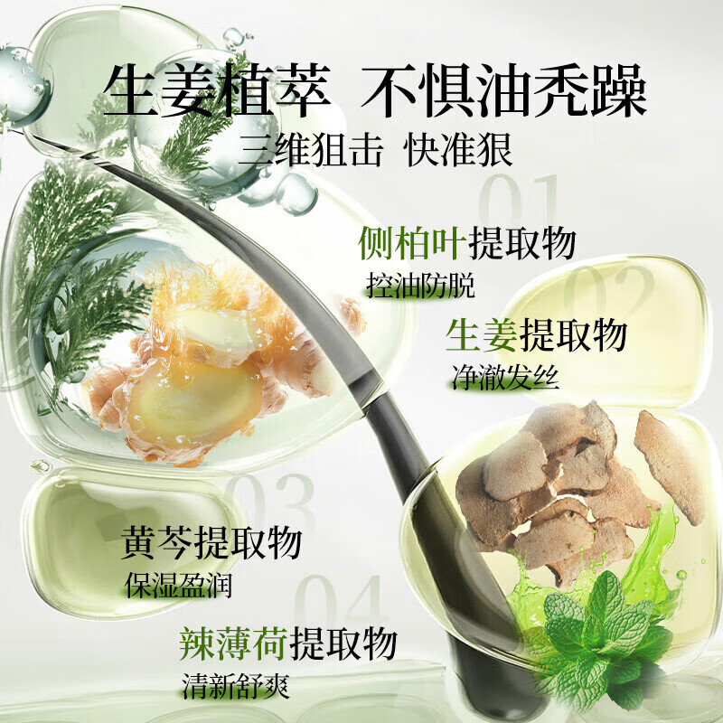霸王防脱洗发水防断发洗发露大容量生姜控油去屑清洁洗发液男女士 防脱丰盈头皮护理洗发液400mlX2瓶