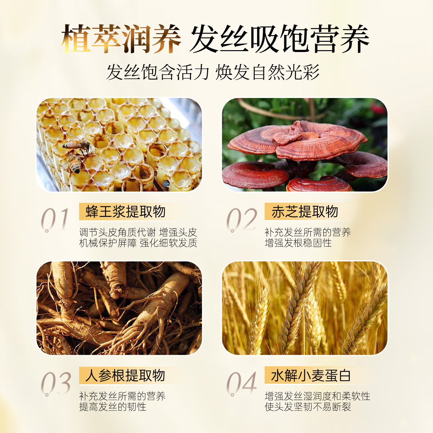 薇弗【去屑控油】蜂胶丰盈固养洗发水去屑去油强韧发丝洗护套装 【强韧+修护】蜂胶洗发水+蜂蜜发膜