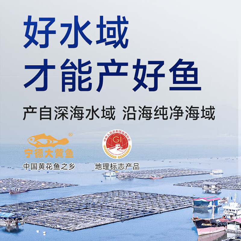 森鲜状元宁德地标海捕大黄鱼整条鲜冻黄花鱼新鲜深海鱼冷冻生鲜速冻水产鱼 4条装(共2斤~2.4斤)宁德黄鱼