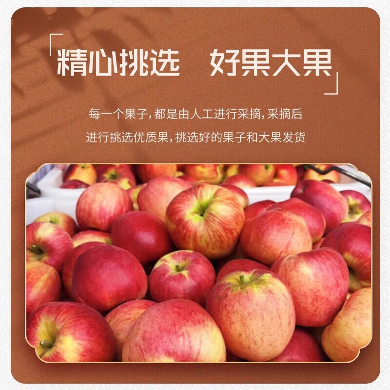 鲜级佳云南昭通冰糖心丑苹果【多地次日达】野生苹果脆甜水果整箱年货 5斤手选装【70mm+】净重4.5斤