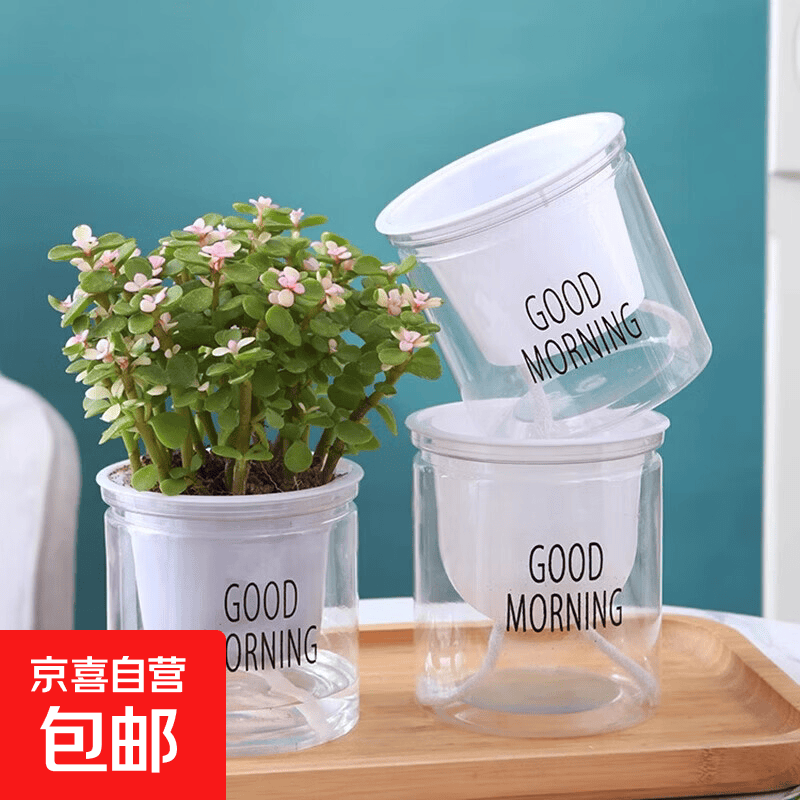 绿植盆 0.1元 - 86线报