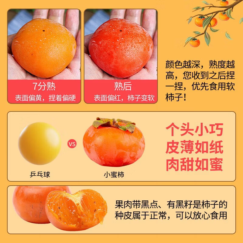 秦大农【火晶柿子】糖心软柿子蜜柿甜柿冰糖无核当季新鲜水果 30枚中大果（单果40g+）