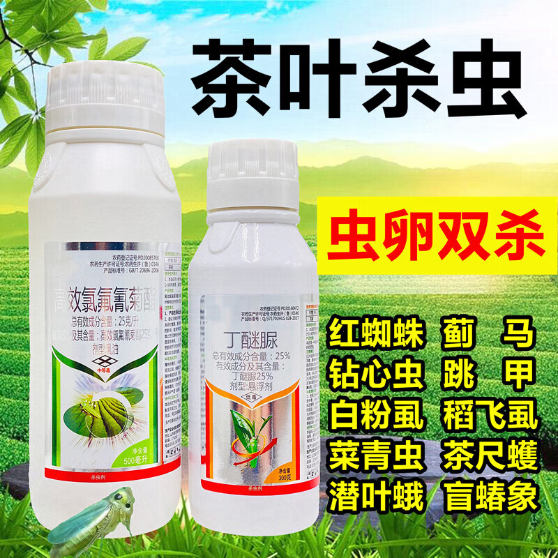 茶树茶叶杀虫剂丁醚脲农药店氯氰氟菊酯高效大全茶小绿叶蝉白飞虱 800