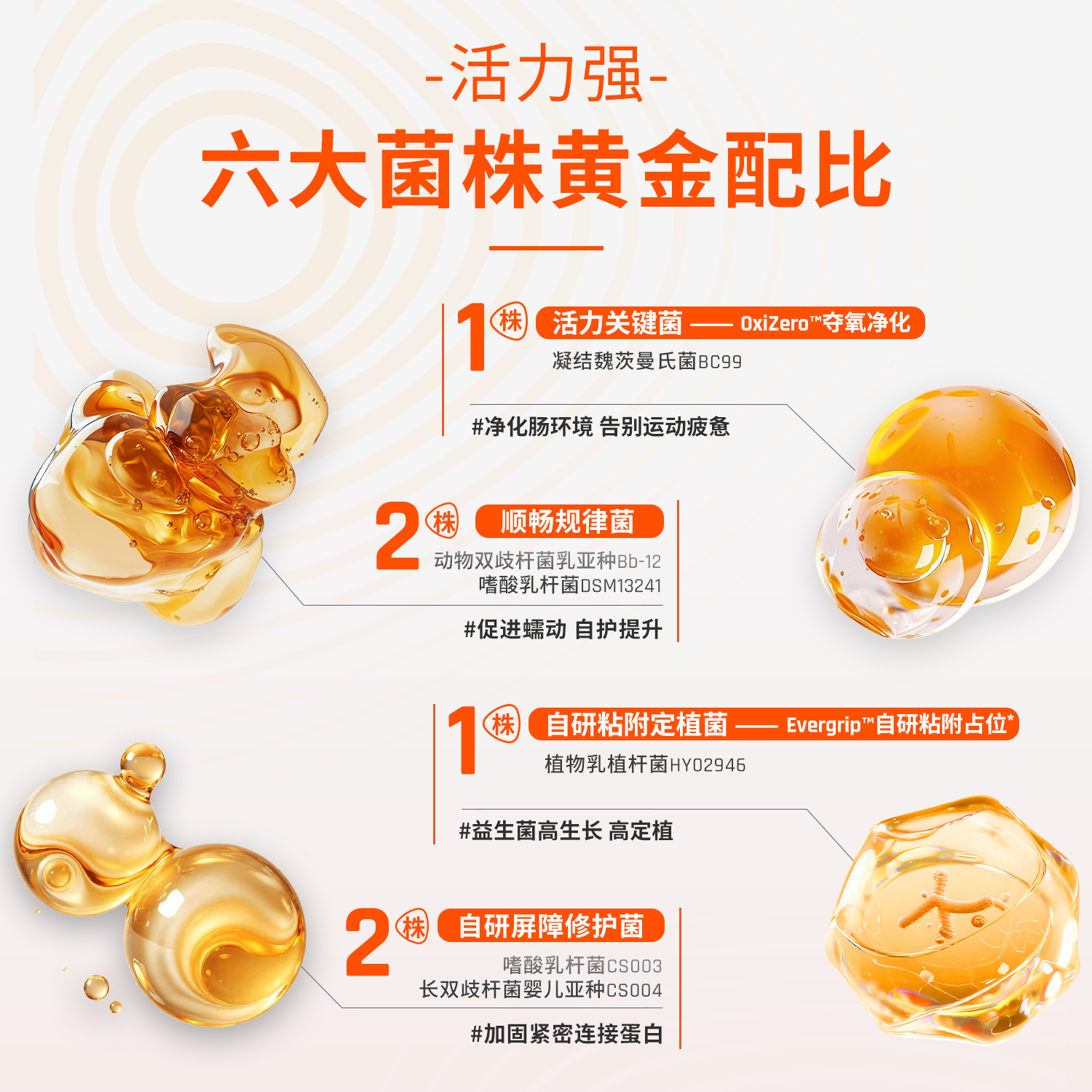 益次方小橙舱双舱鲜活益生菌免冲泡成人儿童调理肠胃脾胃虚弱增强免疫力 小橙舱 7支*1盒 【初期舒缓清淤】双舱益生菌