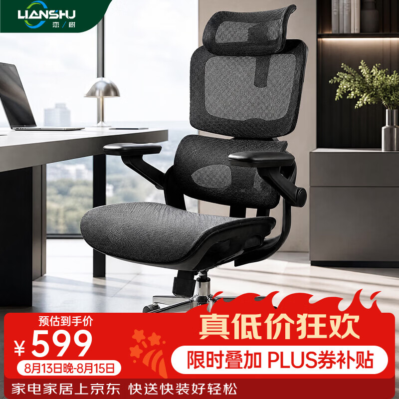恋树（LIANSHU）小满 人体工学椅动态追腰办公椅久坐舒适电脑椅 黑色 网布座垫 无脚托