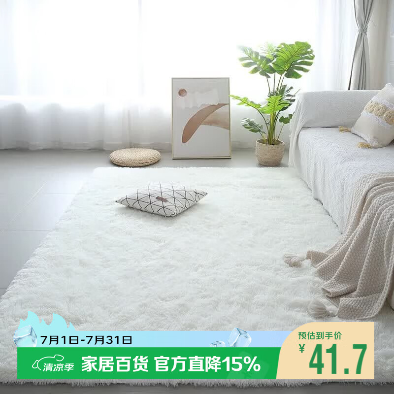 梦蜓长绒丝毛客厅地毯茶几卧室飘窗床边毯垫   简约白70*160cm