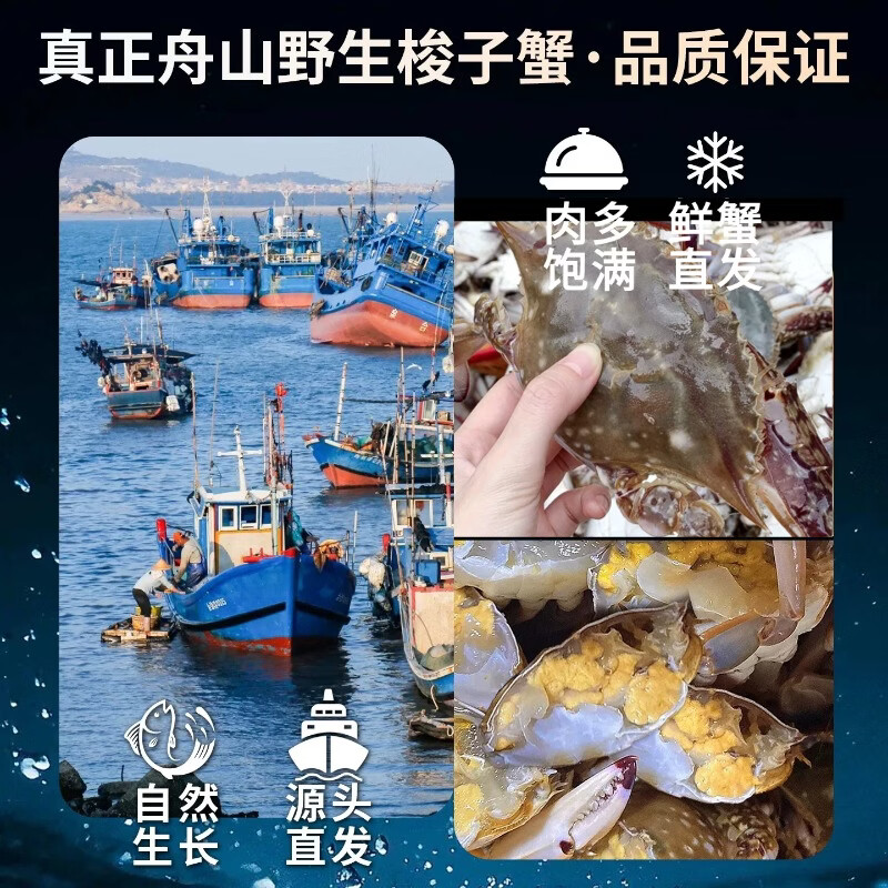【保鲜不保活】山姆东东农场 梭子蟹鲜活大螃蟹舟山飞蟹 中秋送礼 精选梭子蟹3斤【5-7两/只,约4-7只】