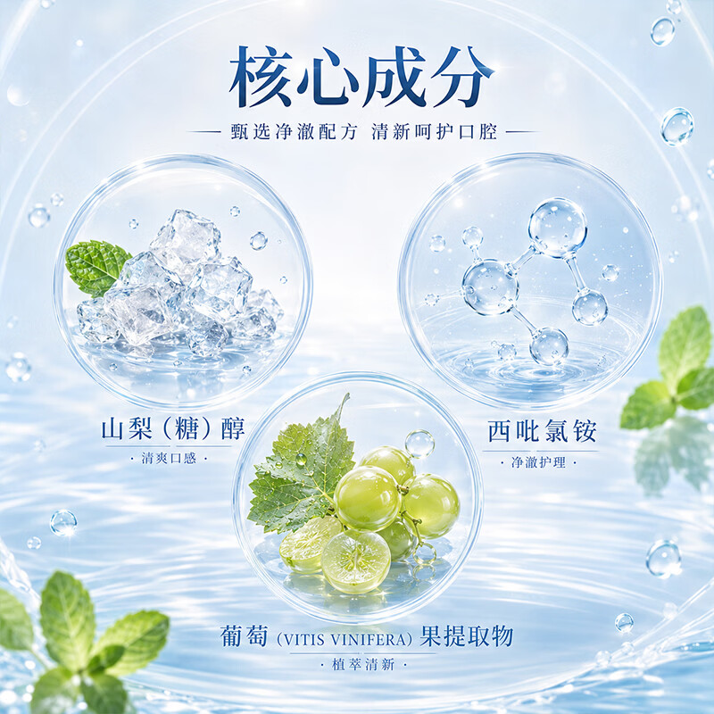 DR.SOROMER西呲氯漱口水清新口气薄荷去异味深层清洁口腔去牙黄不刺激漱口水 西吡氯胺漱口水500ml×2瓶