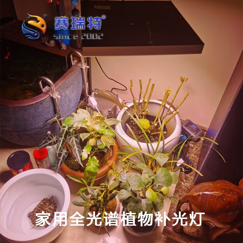 赛瑞特 全光谱植物灯45w多肉绿植LED补光灯仿太阳光室内专用植物生长灯 45瓦全光谱15号(3000K) 45W高性价比高么？