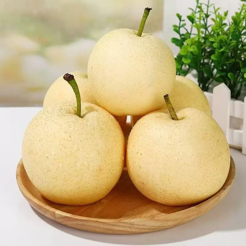 河北正宗皇冠梨 现摘老树脆梨皮薄肉厚多汁【轻微花皮】 (单果200g)4.5-5斤