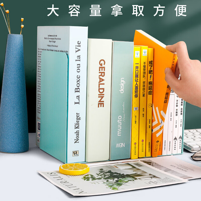 赞婴美儿童成人桌面立式放书书架学生用创意简约学习文具收纳书立铁艺书挡卡 无印风L书立-黑色