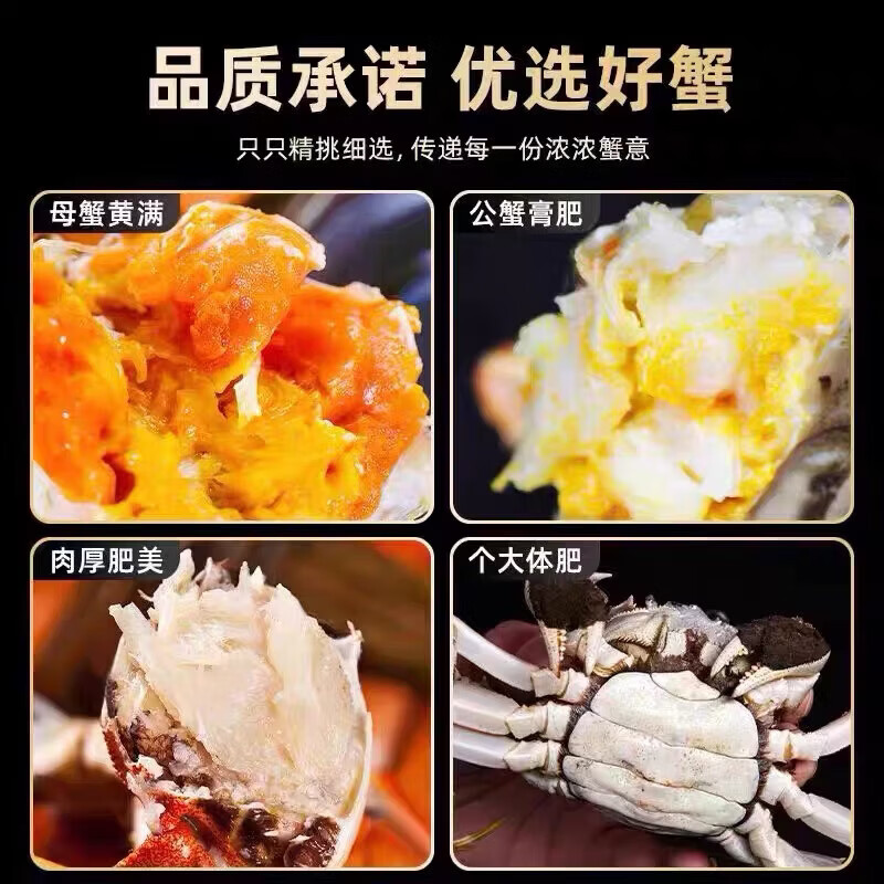江问鱼网兜蟹 辽宁盘锦河蟹稻田蟹螃蟹鲜活大闸蟹无绳净重 中秋节送礼 六月黄1.4-1.6两2斤12-14只