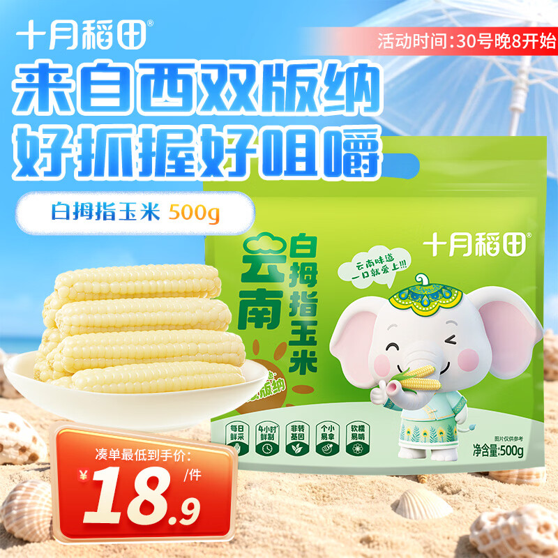 十月稻田 白拇指玉米 1斤(8~12根) 手指小玉米 真空 儿童早餐 西双版纳