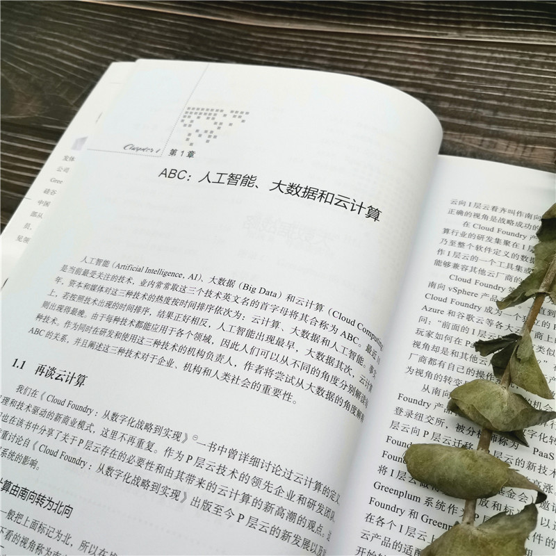 Greenplum：从大数据战略到实现详情图