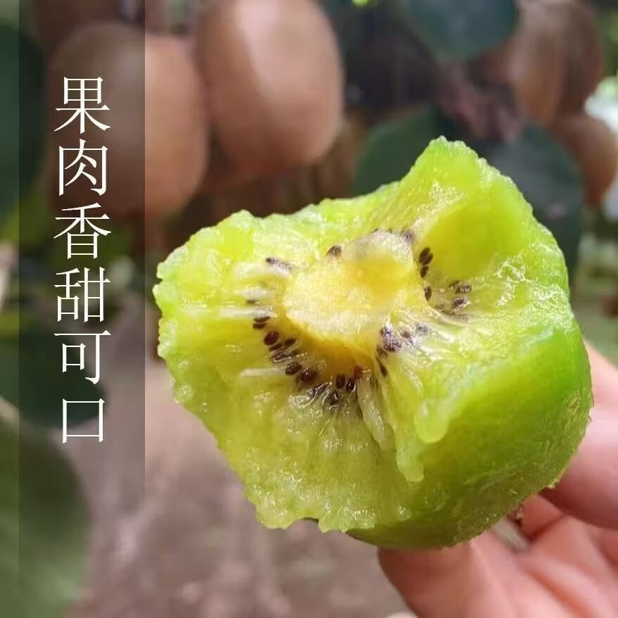 林大馋陕西周至翠香猕猴桃徐香 绿心奇异果水果 中秋送礼礼盒 产地直发 翠香30枚精品中果彩箱(单果70-90g)【送礼选真翠香】