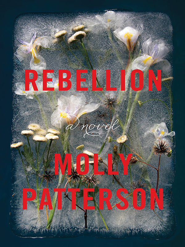 rebellion: a novel