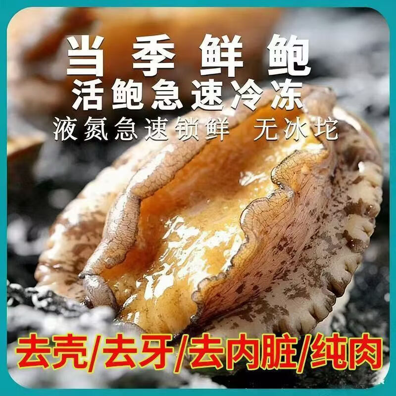 三去鲍鱼肉新鲜纯肉冷冻去牙去壳内脏火锅食材500g海鲜批发商用 三去鲍鱼【13-20头】500g*1袋