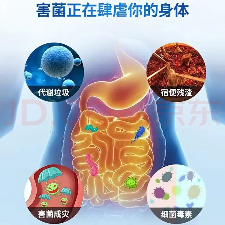 同仁堂成人无糖益生菌中老年调理肠胃脾胃虚弱便秘调节肠道菌群冻干粉 5盒装【肠胃不适专研】 60g*5盒 共100条