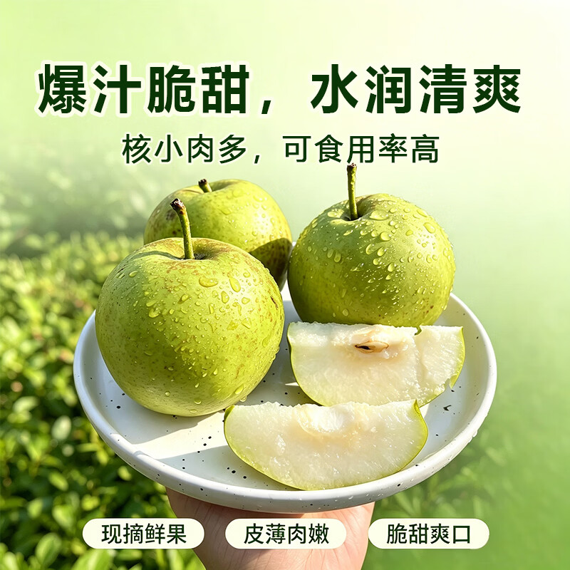雪芬翠冠梨新鲜现摘 青皮脆梨 脆甜多汁 当季生鲜水果 现摘现发 净重4.5斤【单果250g+】