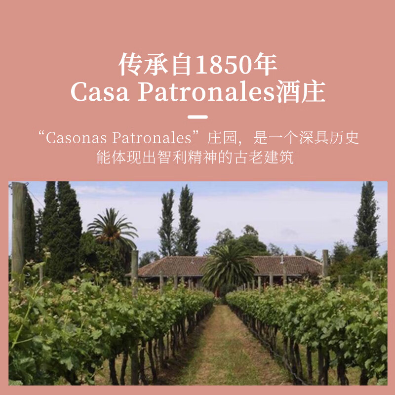 艾莎尼天使之翼智利原瓶进口红酒礼盒375ml女生微醺晚安酒送礼 375ml*4礼盒套装 赠气压式开瓶器