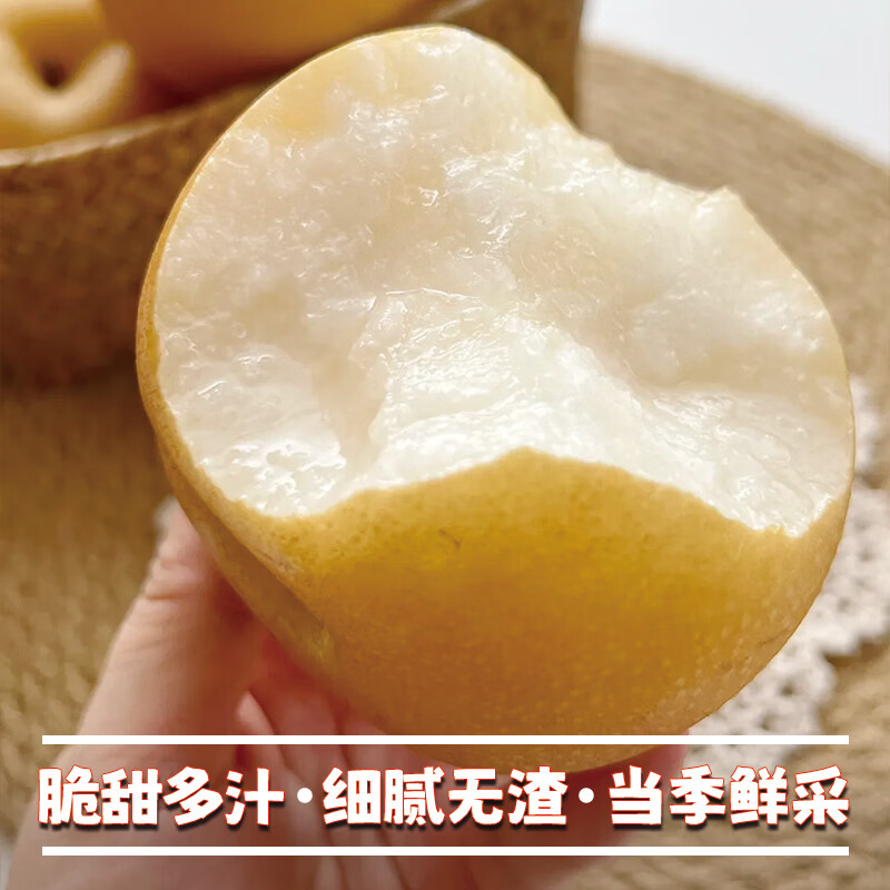 异果恋山东秋月梨 新鲜水果莱阳冰糖梨 当季新鲜水果脆甜现摘梨子 5斤装【大果350g+约5-6个】