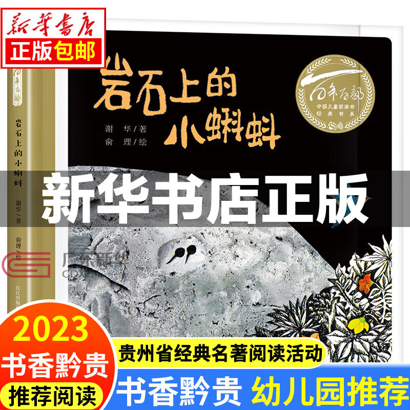 贵州书香黔贵幼儿园阅读 岩石上的小蝌蚪精装绘本 百年百部儿童图画书