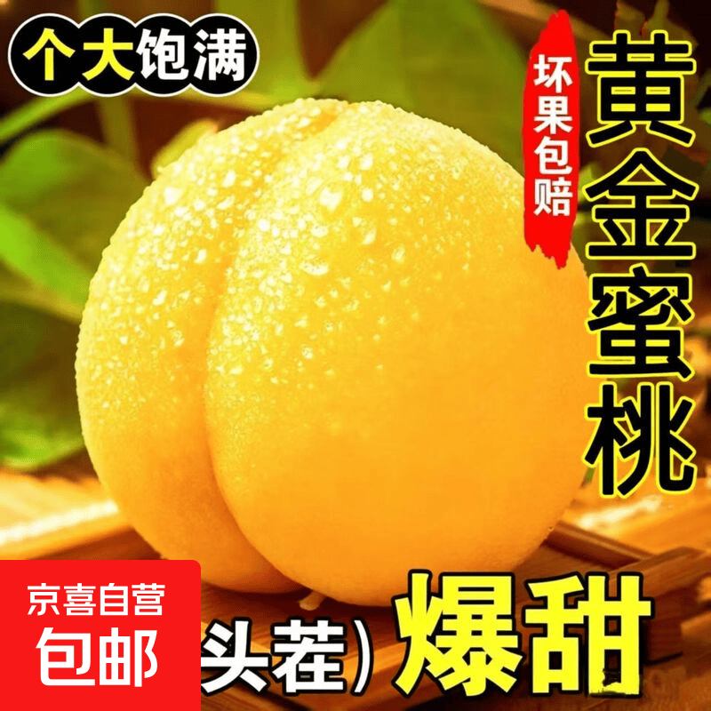 山东蒙阴黄桃蜜桃脆甜桃子新鲜水果当季水果爆汁应季整箱批发 带箱5斤净重4.6斤（中果）
