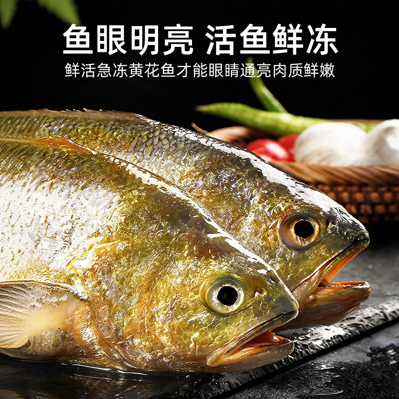 森鲜状元宁德地标海捕大黄鱼整条鲜冻黄花鱼新鲜深海鱼冷冻生鲜速冻水产鱼 4条装(共2斤~2.4斤)宁德黄鱼