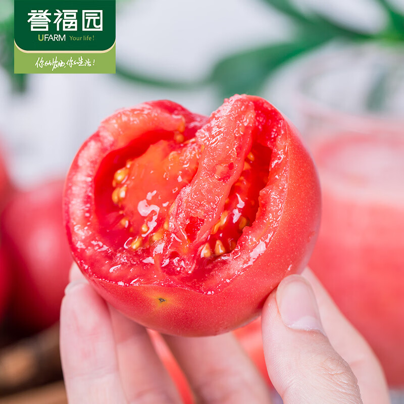 誉福园高原自然熟吉诺比利西红柿生吃富硒新鲜沙瓤番茄生鲜蔬菜酸甜水果 净重4.5斤丨大果(9枚)