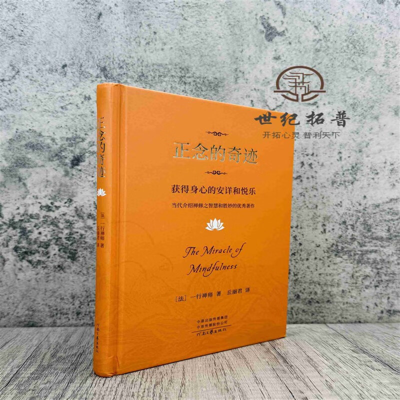 樊登2024新版 正念的奇迹 一行禅师 是现代的佛教禅宗诗人 人生哲学