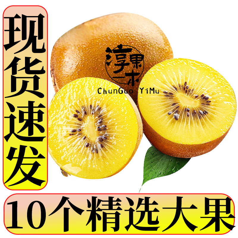 淳果一木 黄心猕猴桃 金果奇异果猕猴桃四川 新鲜水果生鲜水果 10个 精选大果 单果100克+