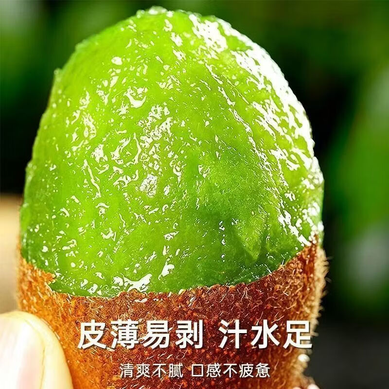 林大馋陕西周至翠香猕猴桃徐香 绿心奇异果水果 中秋送礼礼盒 产地直发 翠香30枚精品中果彩箱(单果70-90g)【送礼选真翠香】