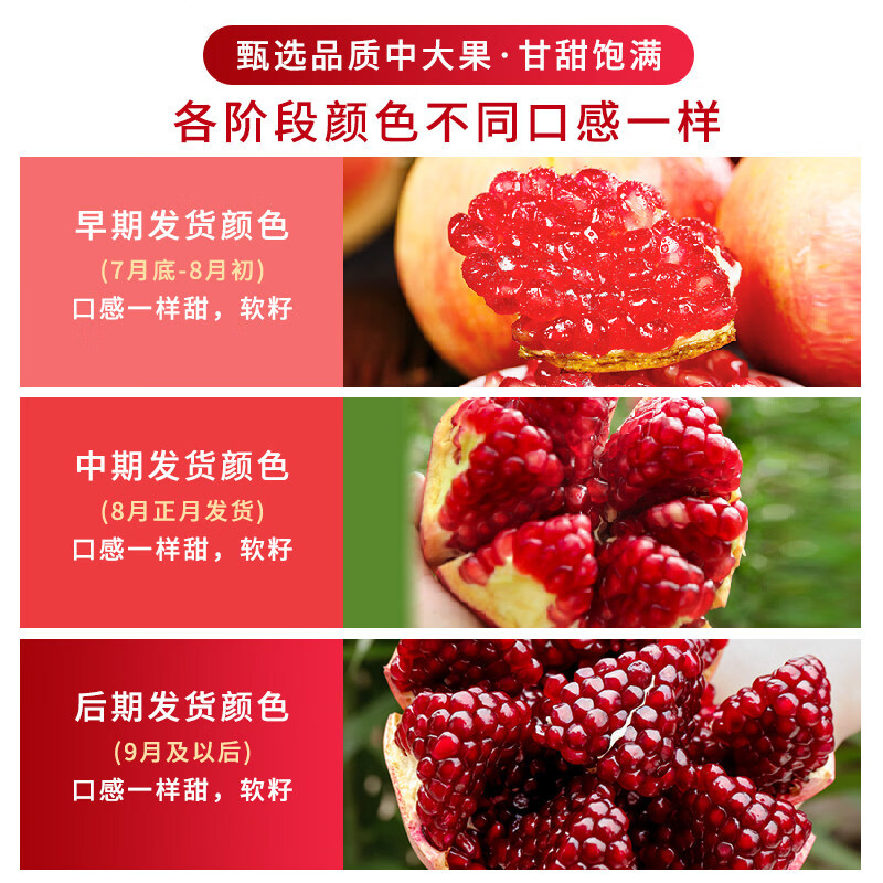突尼斯软籽石榴正宗四川会理红宝石中秋水果2026现摘现发 带箱5斤【大果5-6两】实惠