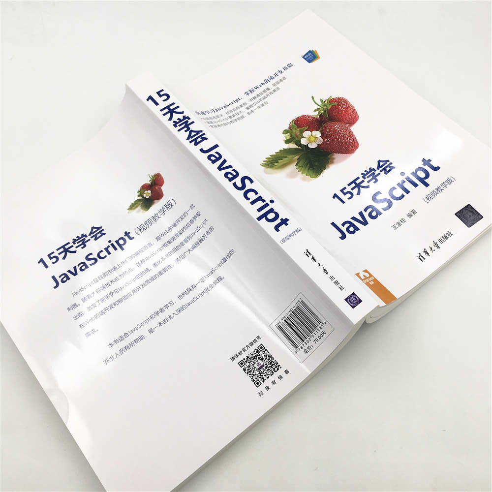 Web前端技术丛书：15天学会JavaScript（视频教学版）