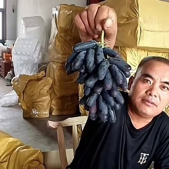 陕西蓝宝石葡萄月光之泪无籽黑提 当季新鲜水果 产地现摘顺丰发货 净重4斤顺丰包邮 顺丰包邮