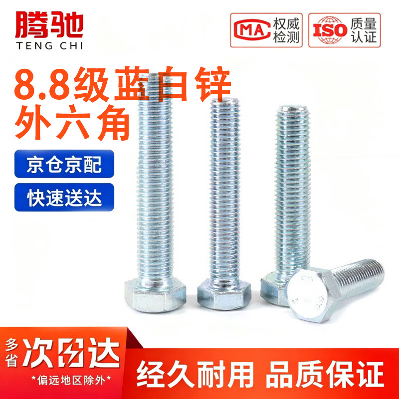 腾驰（CT）8.8级蓝白锌外六角螺栓全牙半牙镀锌外六角螺丝钉 M10x120[10个/包]