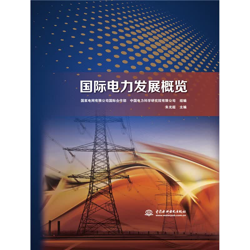 国际电力发展概览(精)