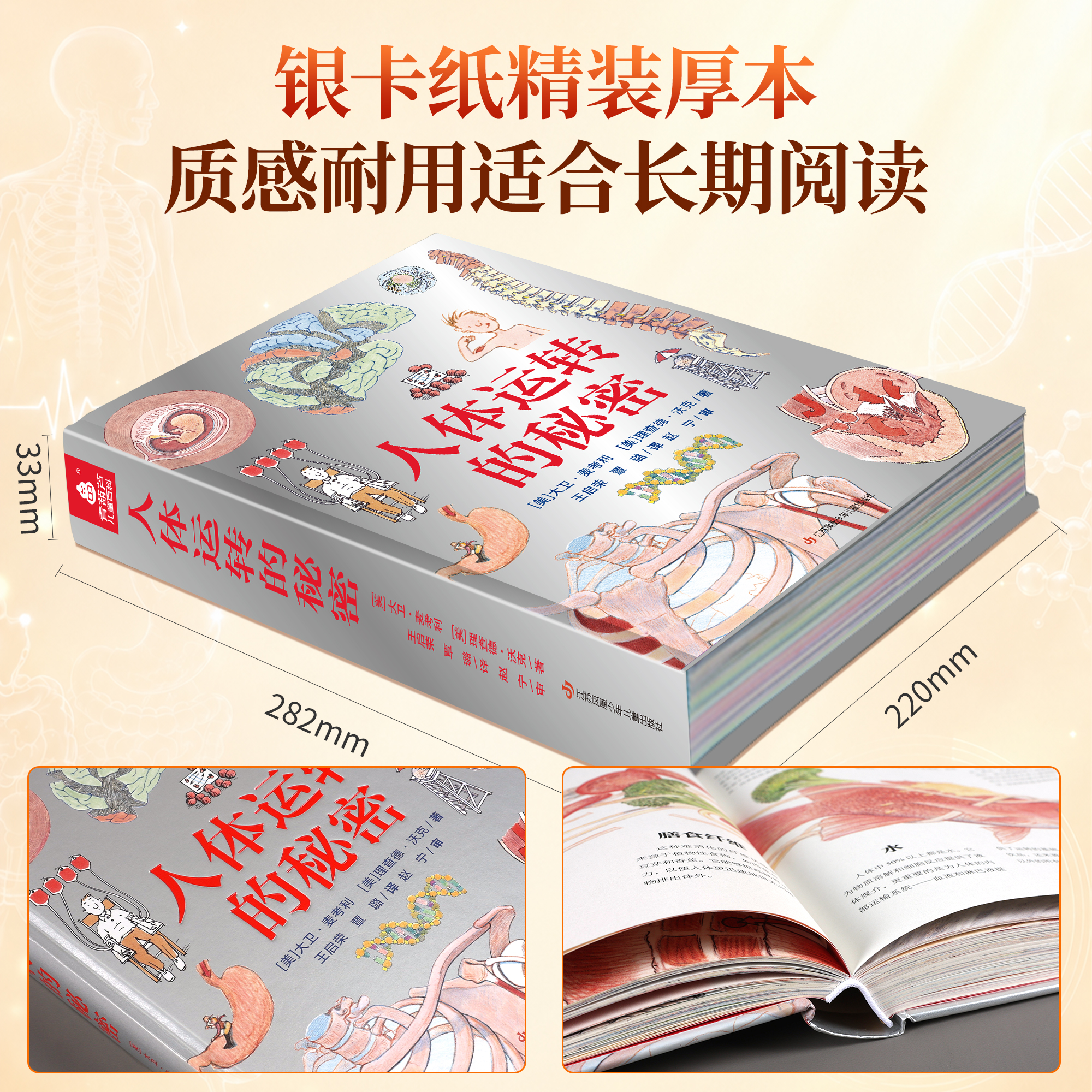 青葫芦 人体运转的秘密 少年儿童百科全书家庭医生健康营养书籍dk我们的身体的神秘肌肉器官医学免疫系统图解知识科普书课外阅读书 十万个为什么 中小学生版一二三四五六年级书籍7-12岁中国少儿科学启蒙 人