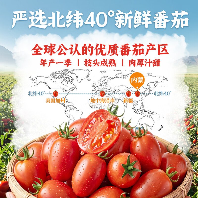 好人家北纬40°鲜番茄火锅底料【内含双料包】 鲜番茄火锅底料450g