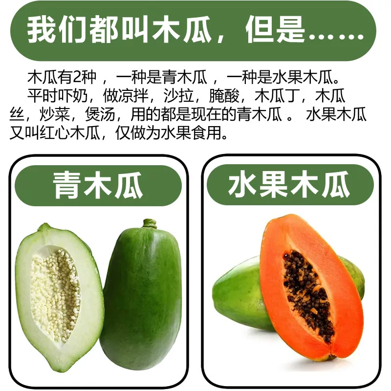 广西青木瓜新鲜现摘产妇下奶泰式凉拌沙拉生木瓜腌酸菜瓜土木瓜青 10斤现摘青木瓜生木瓜