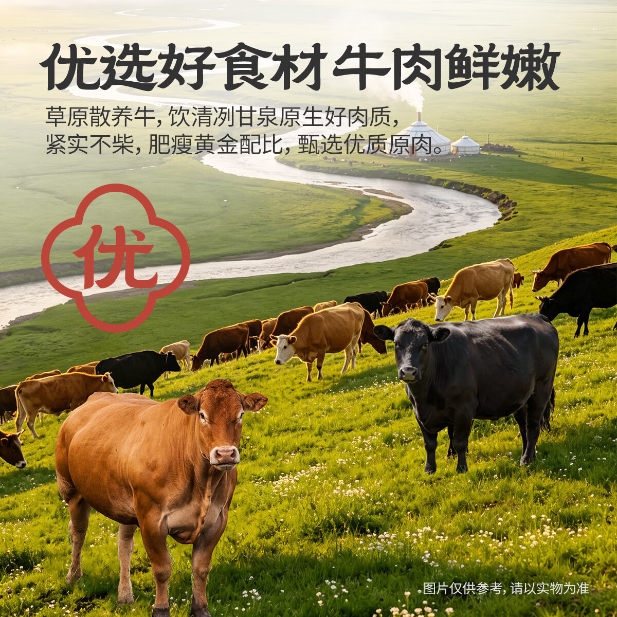 城一锅牛肉罐头速食开罐即食500g红烧牛肉罐头食品午餐肉高蛋白代餐 【红烧牛肉】500g*1罐