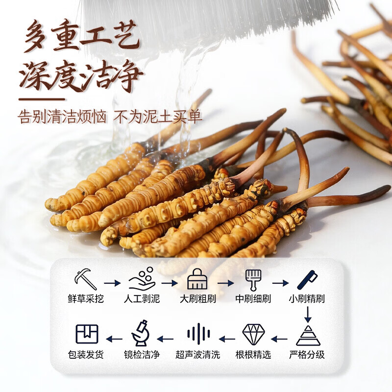 康陈牌新鲜冬虫夏草2026年头茬应季鲜虫草送礼营养滋补礼品自食高原鲜草 鲜虫草1.0-1.3共70根 1.3根*70根