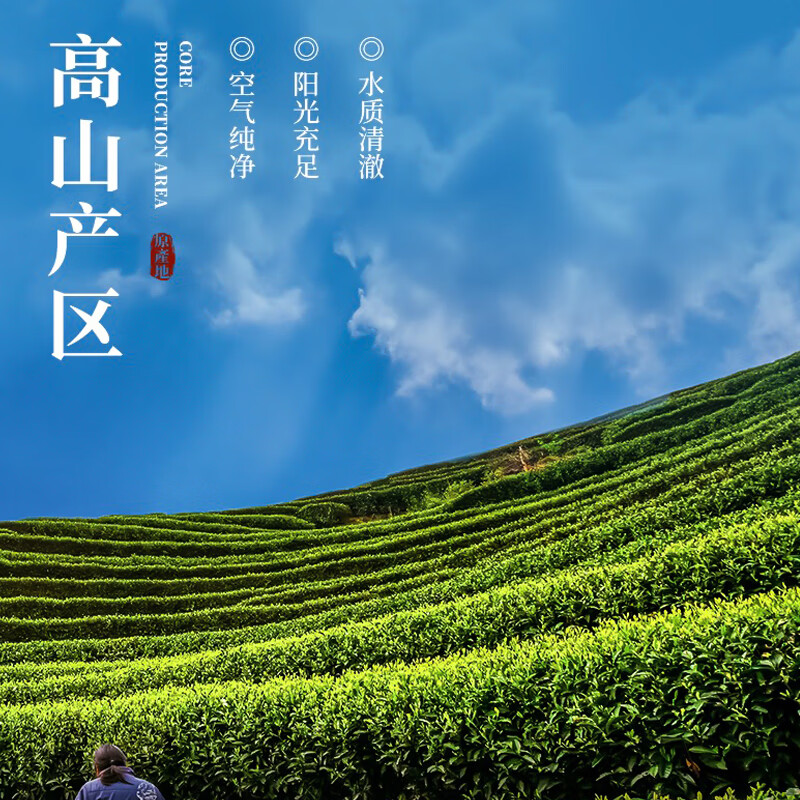 刀蔓养生茶饮绿茶新茶茶叶雨前春茶2026炒青绿茶叶毛茶尖叶口粮茶 200g*2罐
