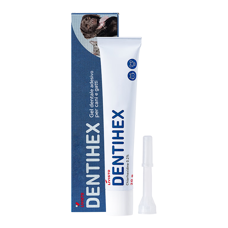 汉维宠仕 宠齿健livisto dentisept洁牙凝胶20g狗缓解牙石口腔清洁