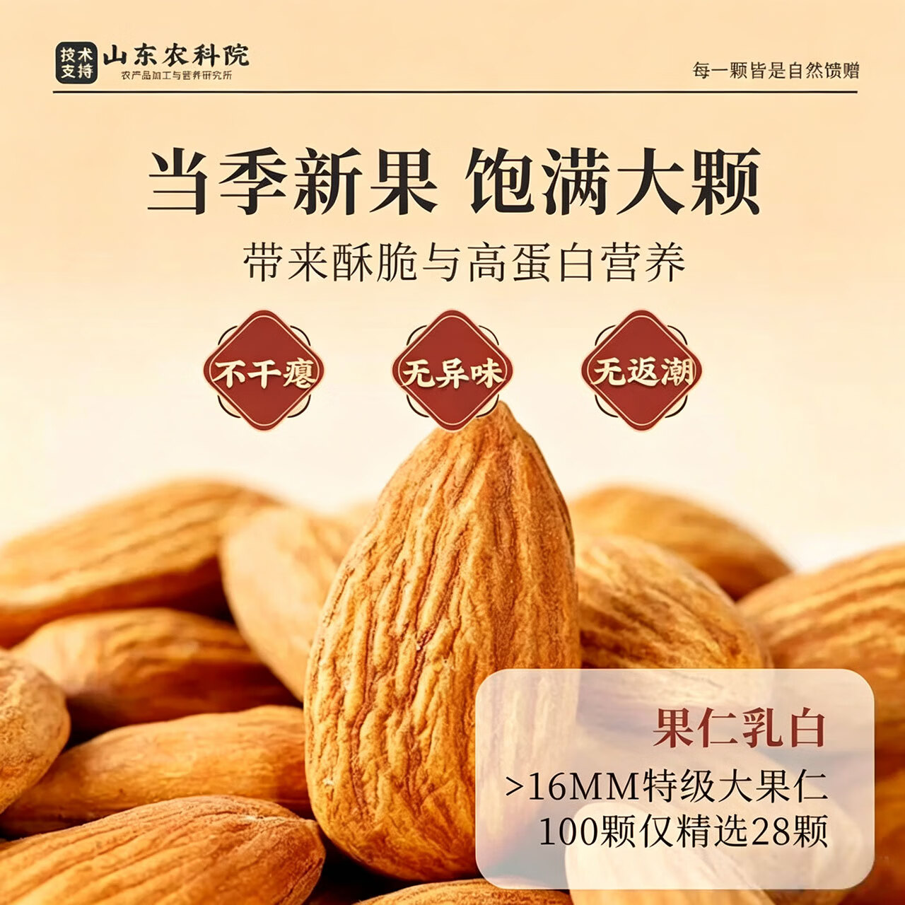 优卓特优级南杏仁原味无添加无蔗糖熟制杏仁大颗粒原产地农科院官方 【原色原香】特级熟制南杏仁 250g*1罐