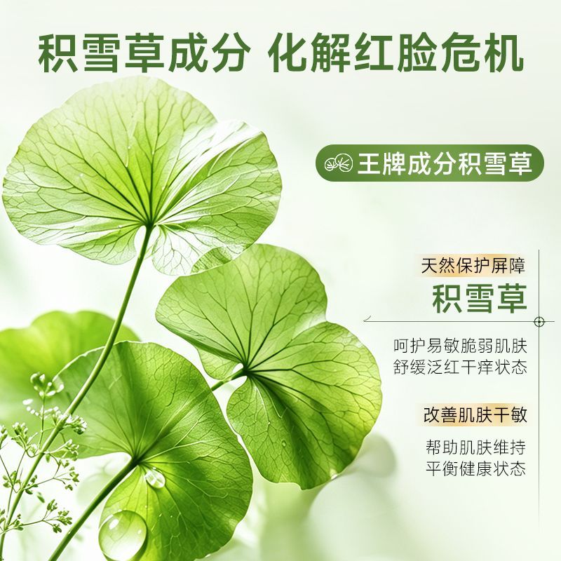 法汀妮积雪草b5乳液面膜抗皱紧致保湿改善熬夜松垮暗沉面膜礼物 【逆袭嘭弹少女肌】积雪草b5乳液面膜30片/3盒