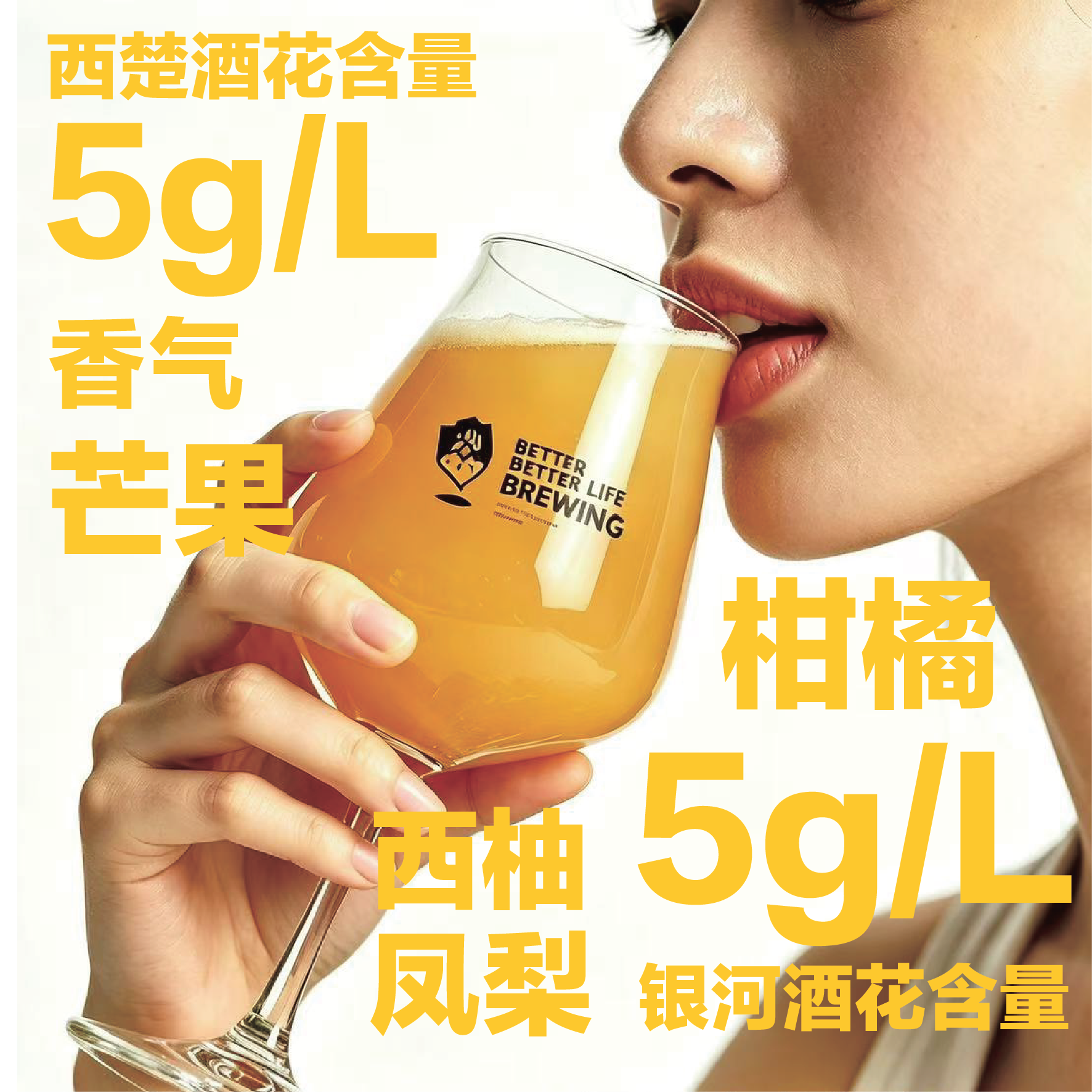 嘉啤【8/20日灌装顺丰送货上门】云雾之都浑浊IPA原麦15°P酒精5.5%vol 云雾之都浑浊IPA啤酒 500mL 12罐 (11元每罐)